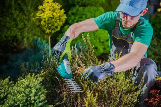 landscaping services Mineral City